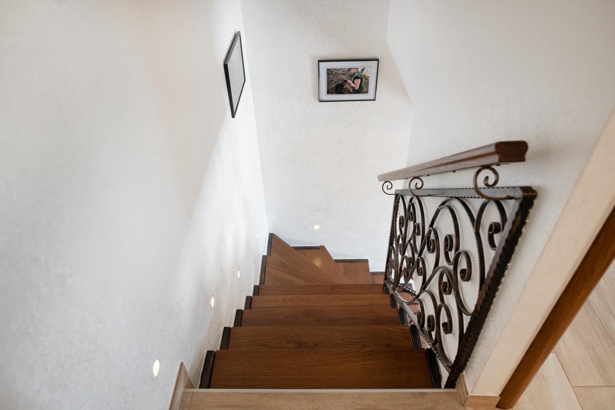 Truffle House Karlic Lejlighed Buzet Eksteriør billede